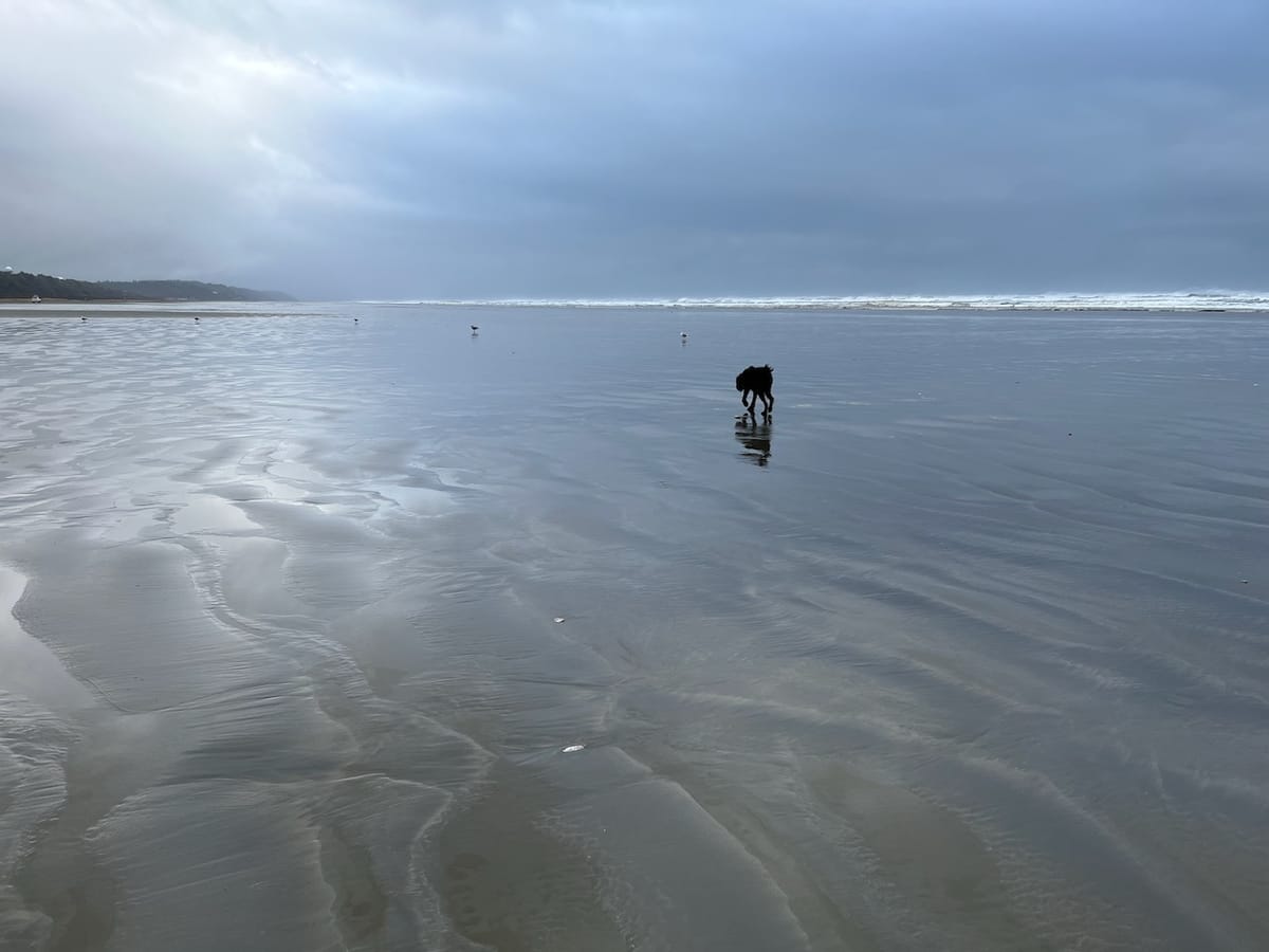 Christmas in Moclips